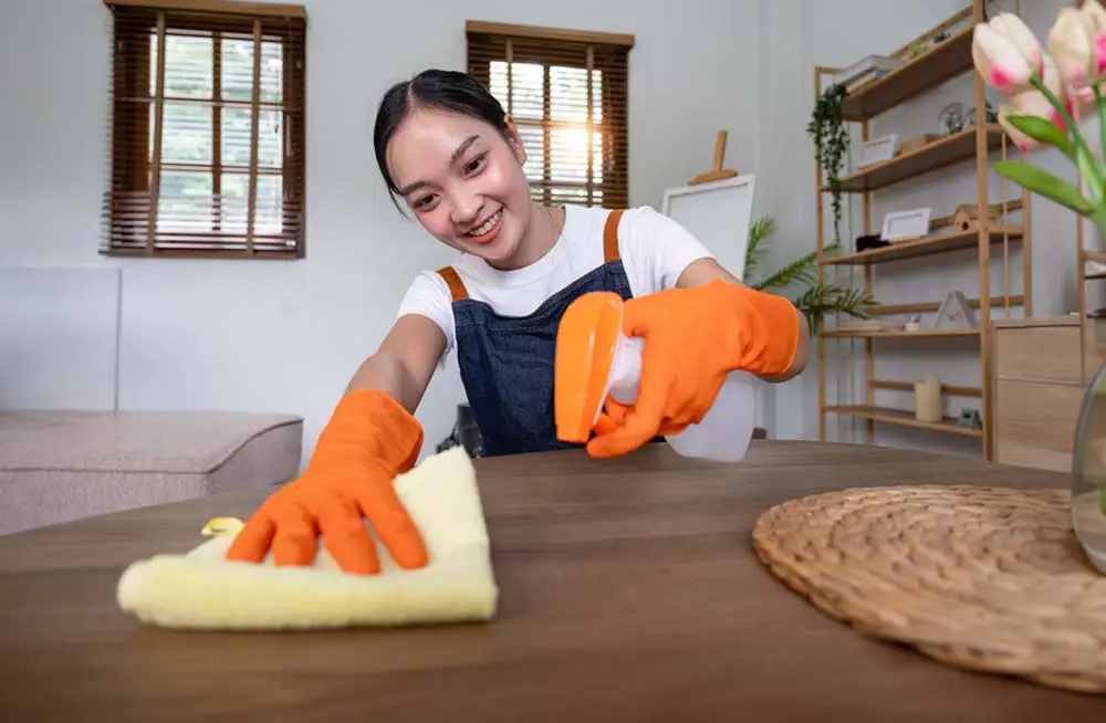 The Time - Saving Benefits of Outsourcing House Cleaning Services 5 Outsourcing your cleaning