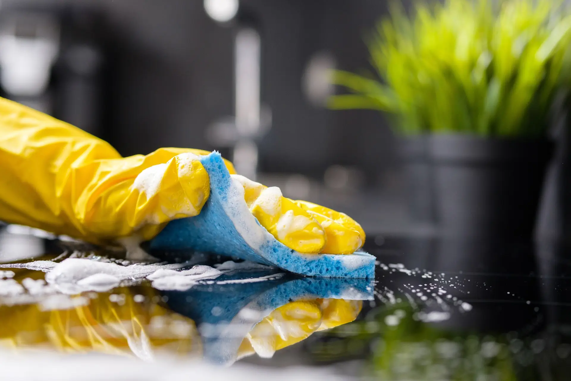 Master Cleaning 20+ Years of Sparkle