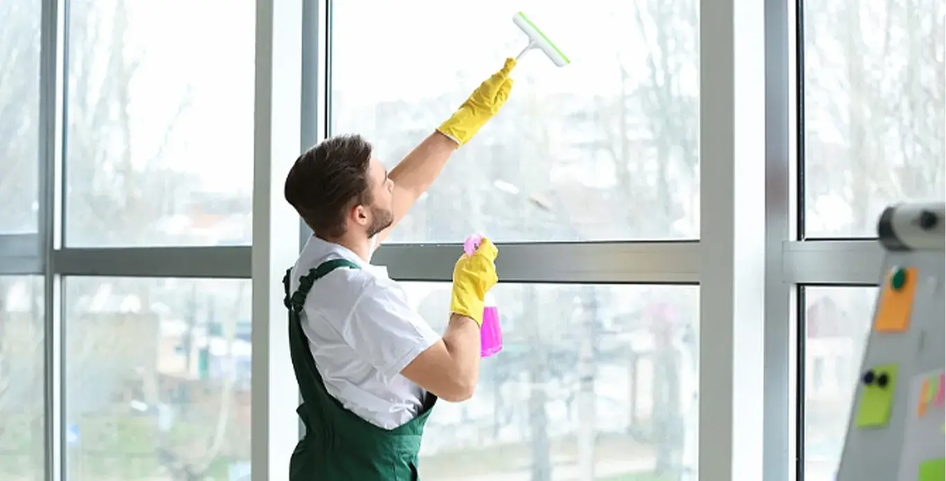 Window Cleaning Tips 2025