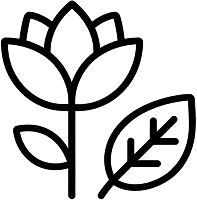 Complete Free House Cleaning Guide Brisbane 3 Pollen and Pollution Icon